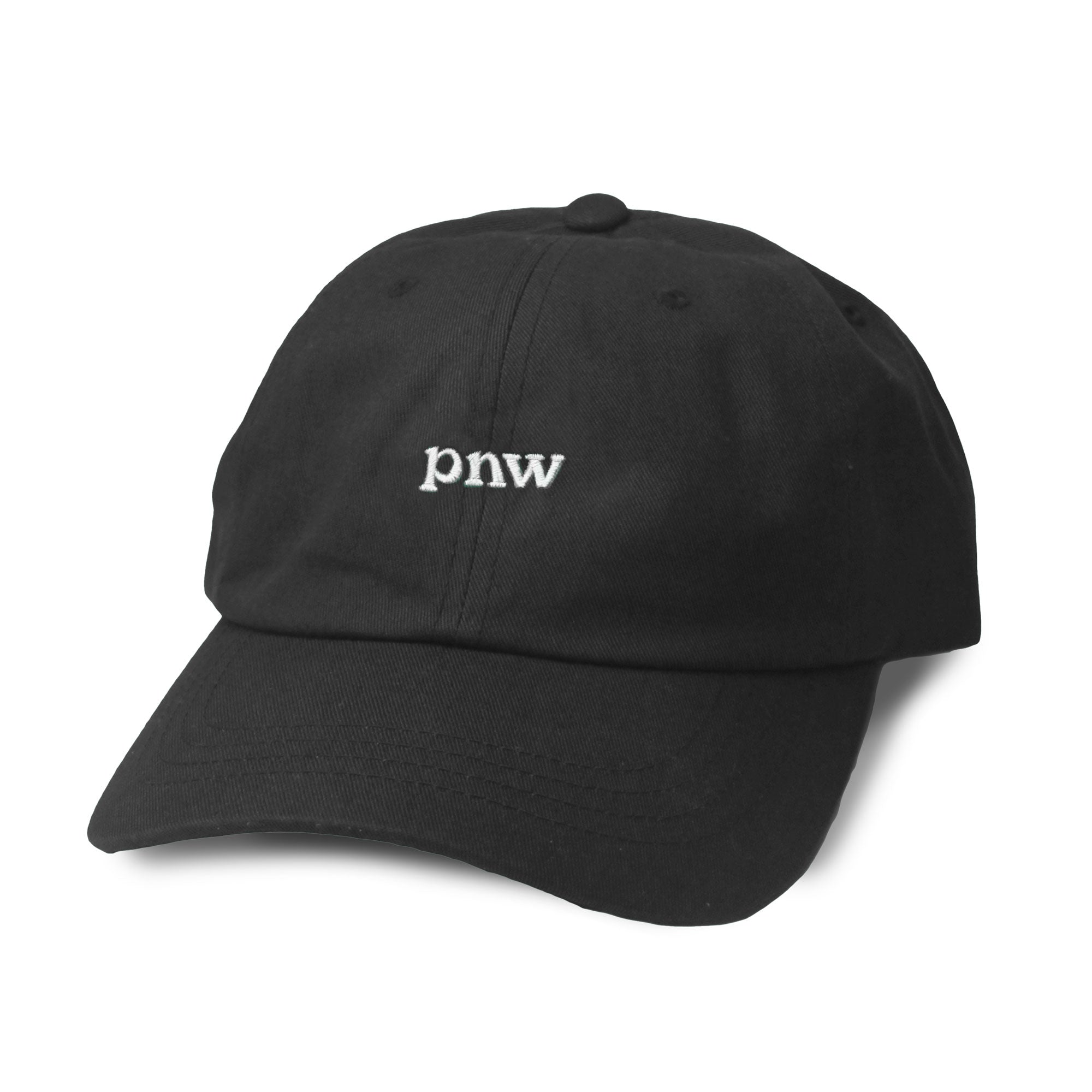 pnw vintage dad hat - black - Viaduct