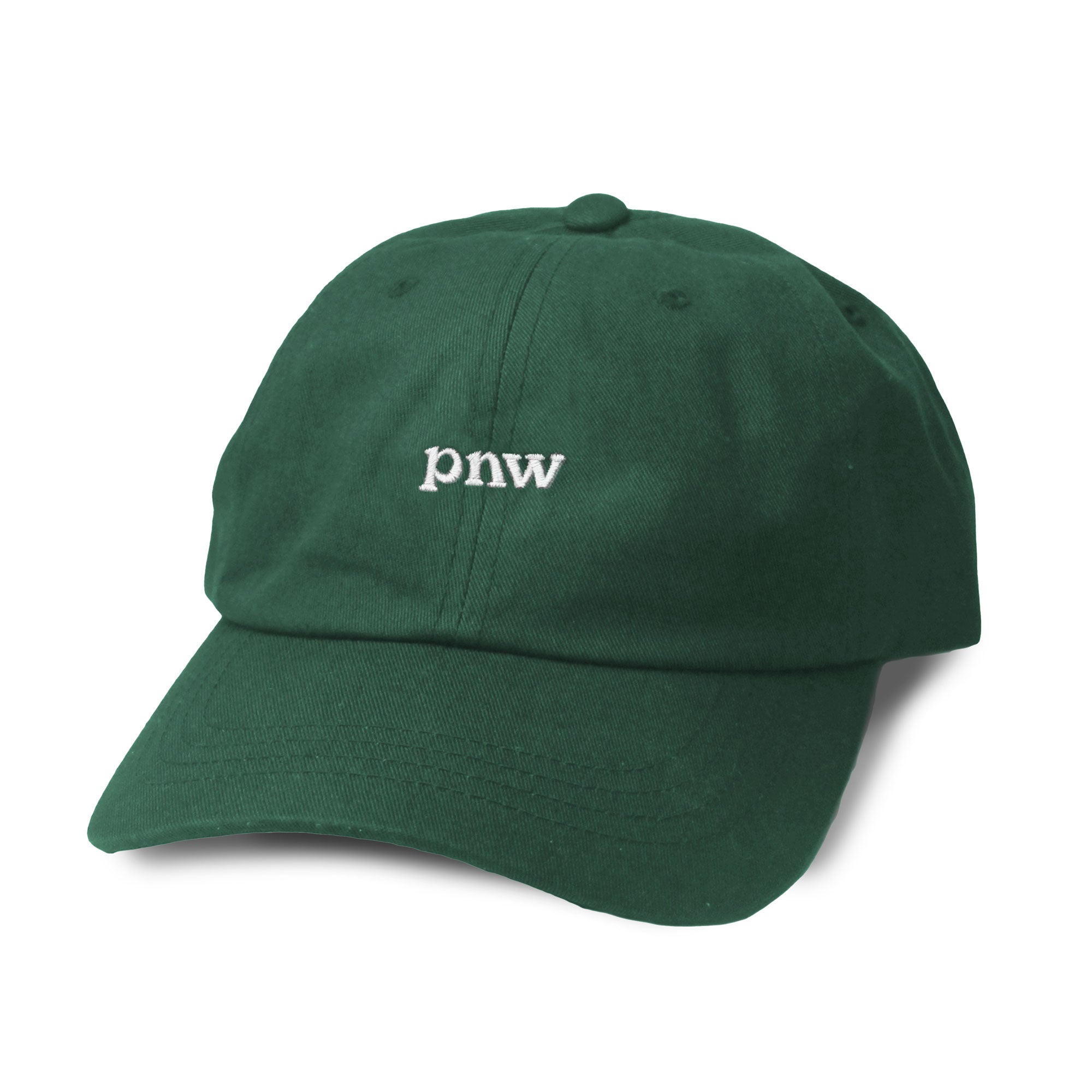 pnw vintage dad hat - green - Viaduct