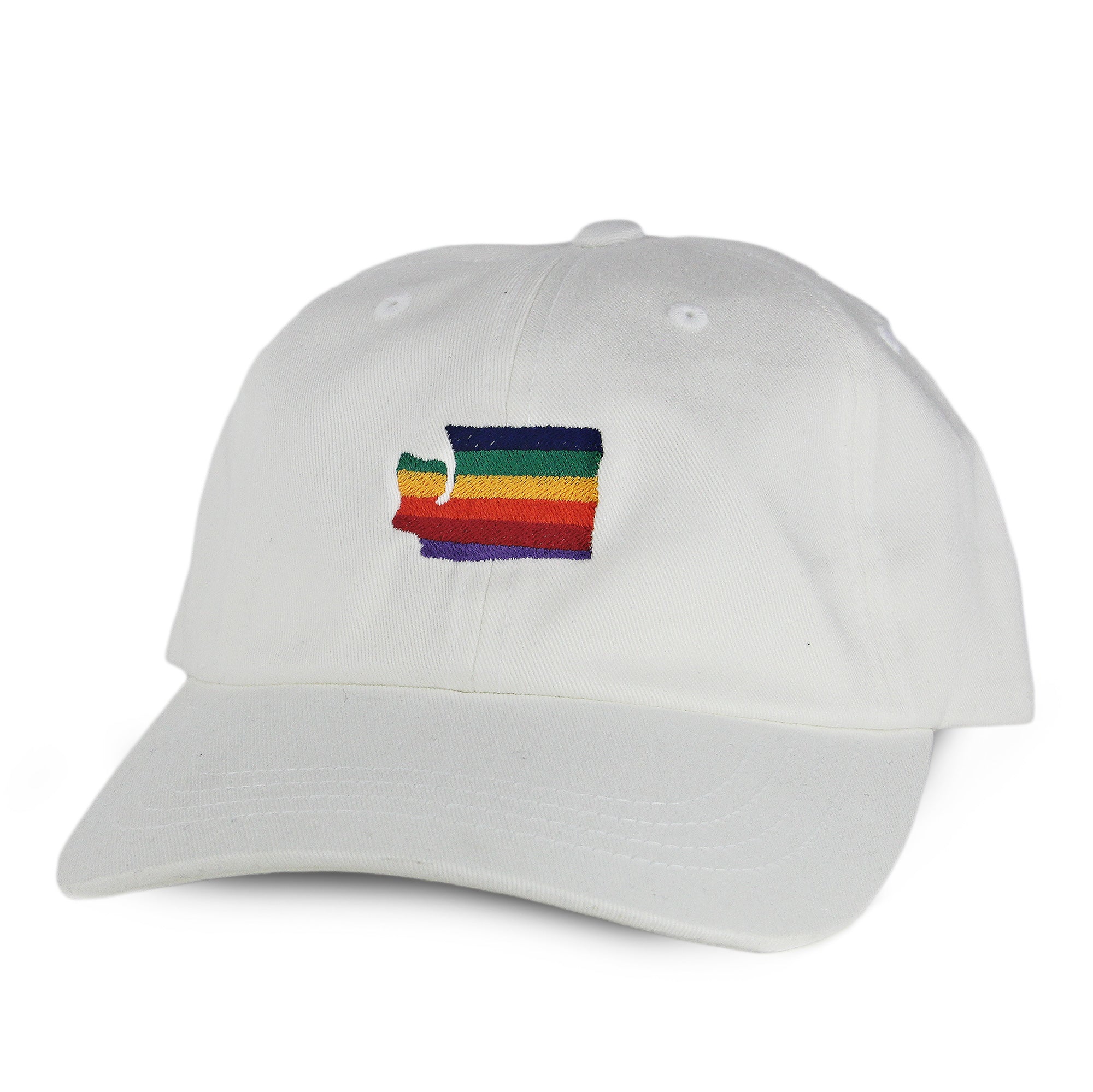 Washington Pride Dad hat - Viaduct